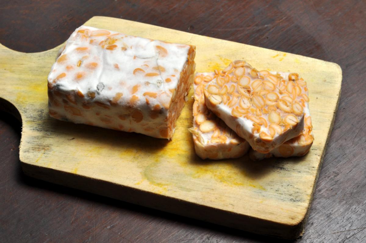 tempeh tempeh