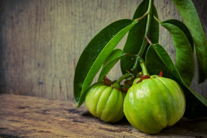garcinia garcinia