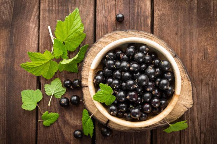 ribes-nigrum ribes-nigrum