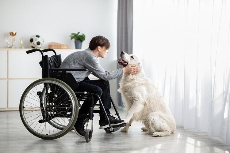 pet-therapy pet-therapy
